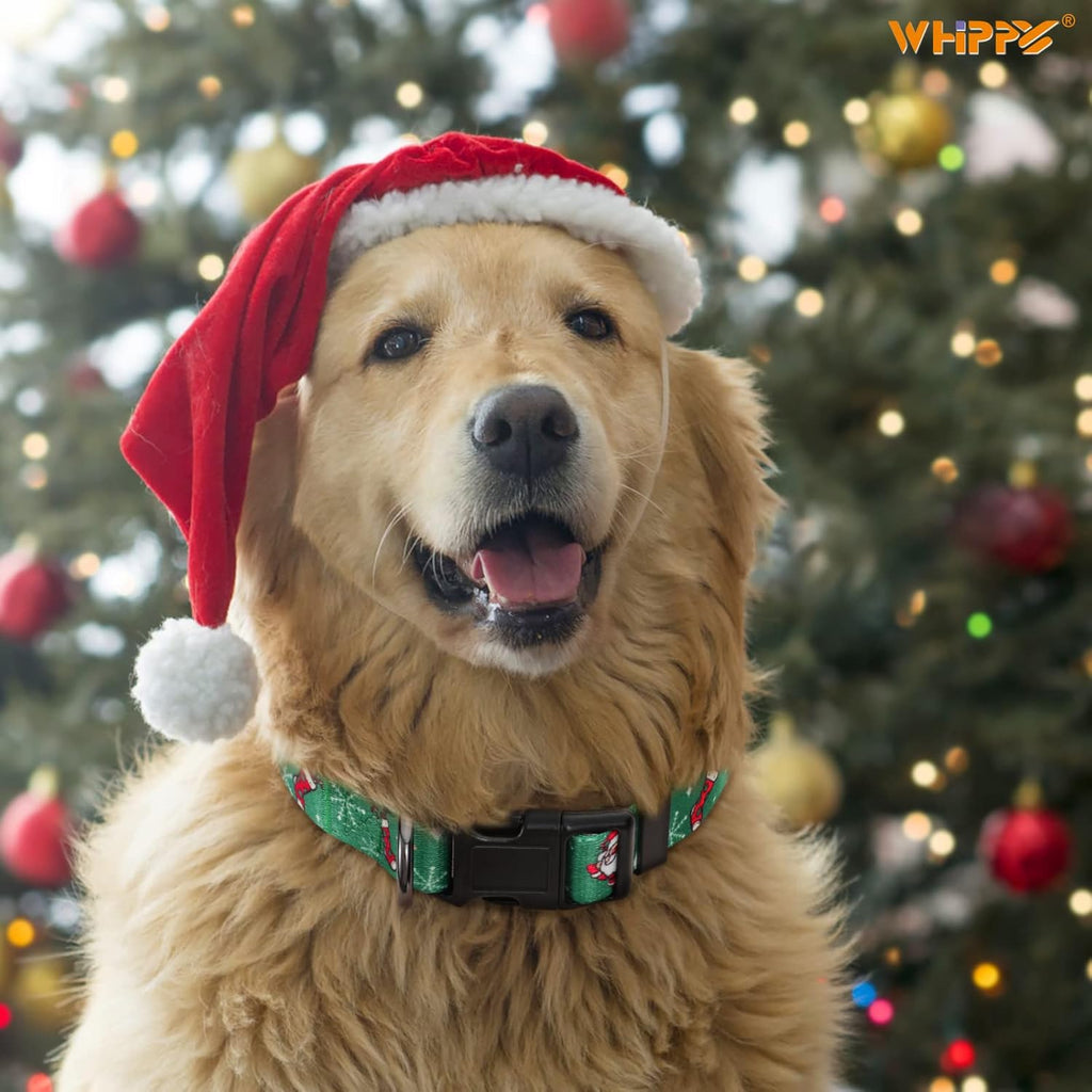 WHIPPY - Christmas Dog Collar