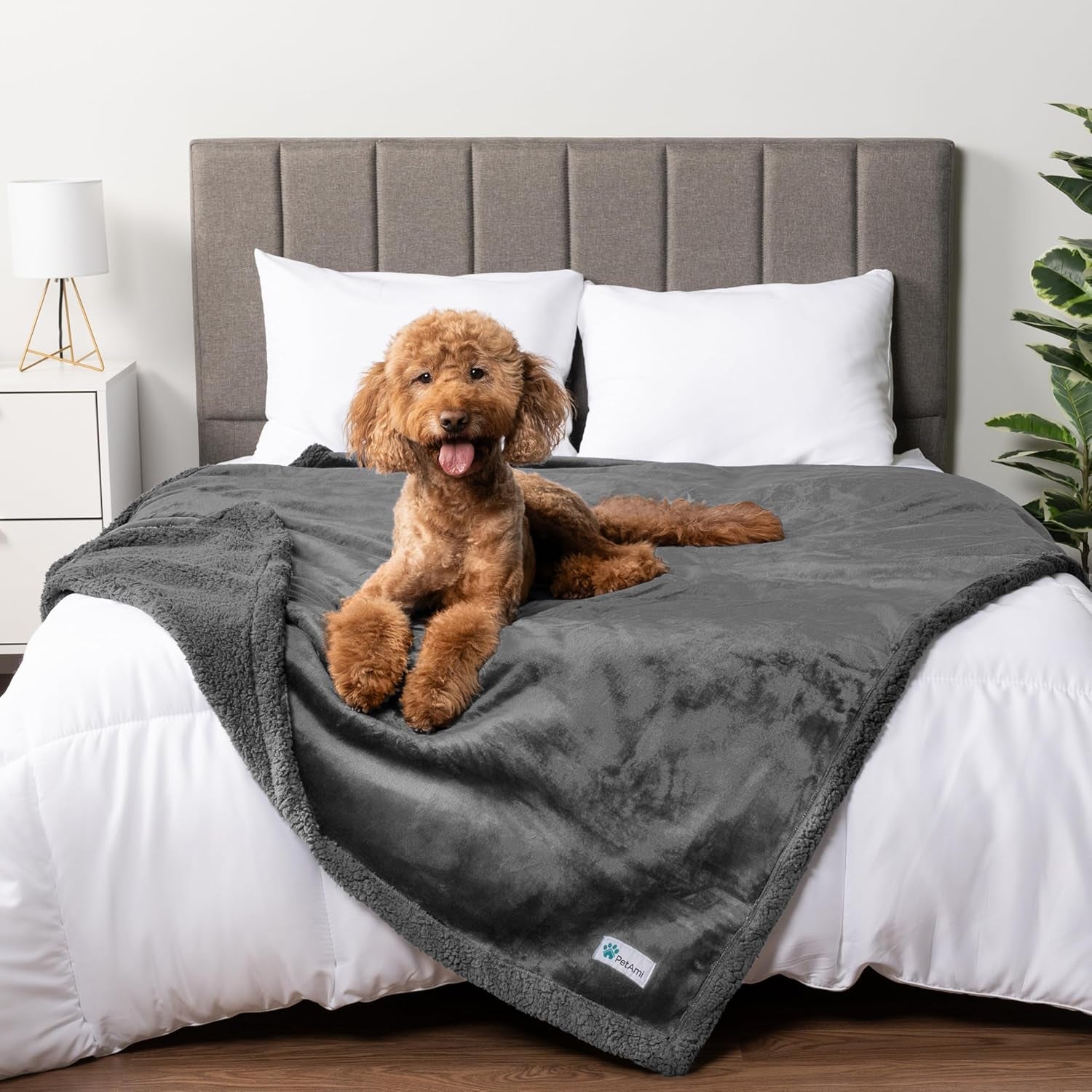 Petami Waterproof Dog Blanket for Queen Bed Large XL Dog Throw for Couch Cover Leakproof Furniture Protection, Sherpa Fleece, Reversible Soft Washable 90X90 Light Gray
