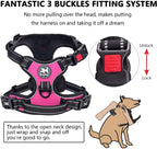 Dog Harness and Leash Combo, Escape Proof,  5 Feet Leash, Reflective Adjustable.