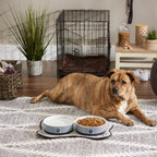 Bone Dry Paw & Patch Ceramic Pet Collection, Large Set, 7.5X2.4", Nautical Blue, (Pack of 2)