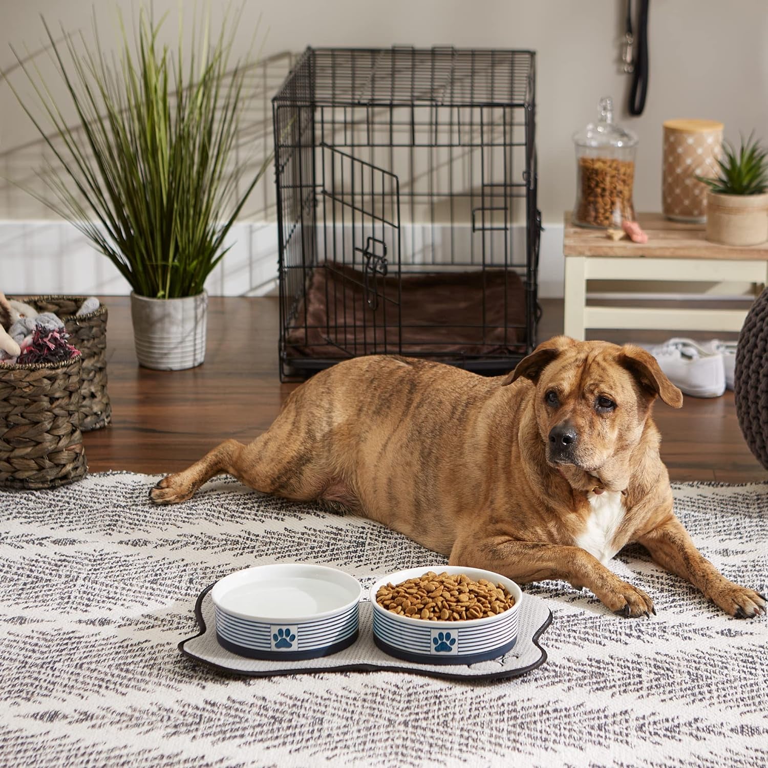 Bone Dry Paw & Patch Ceramic Pet Collection, Large Set, 7.5X2.4", Nautical Blue, (Pack of 2)