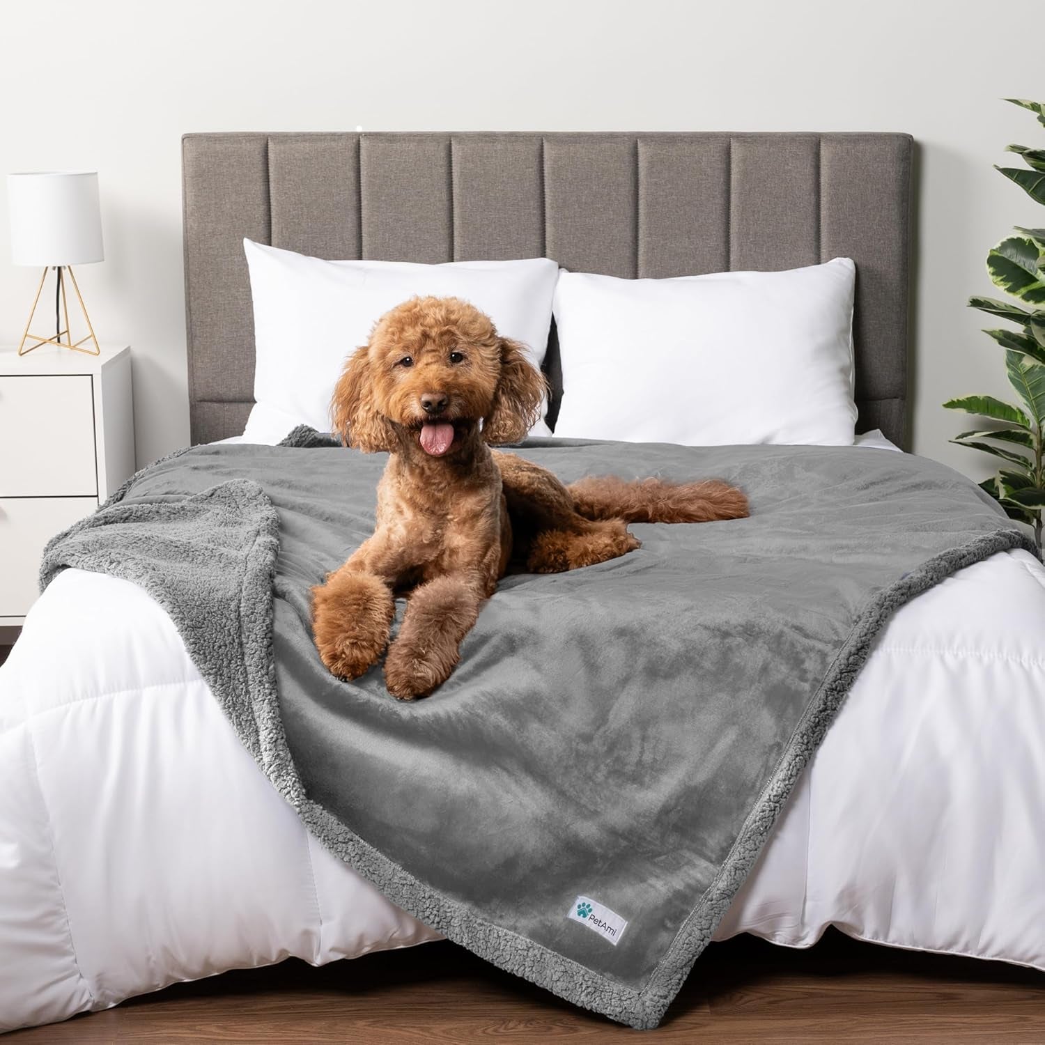Petami Waterproof Dog Blanket for Queen Bed Large XL Dog Throw for Couch Cover Leakproof Furniture Protection, Sherpa Fleece, Reversible Soft Washable 90X90 Light Gray