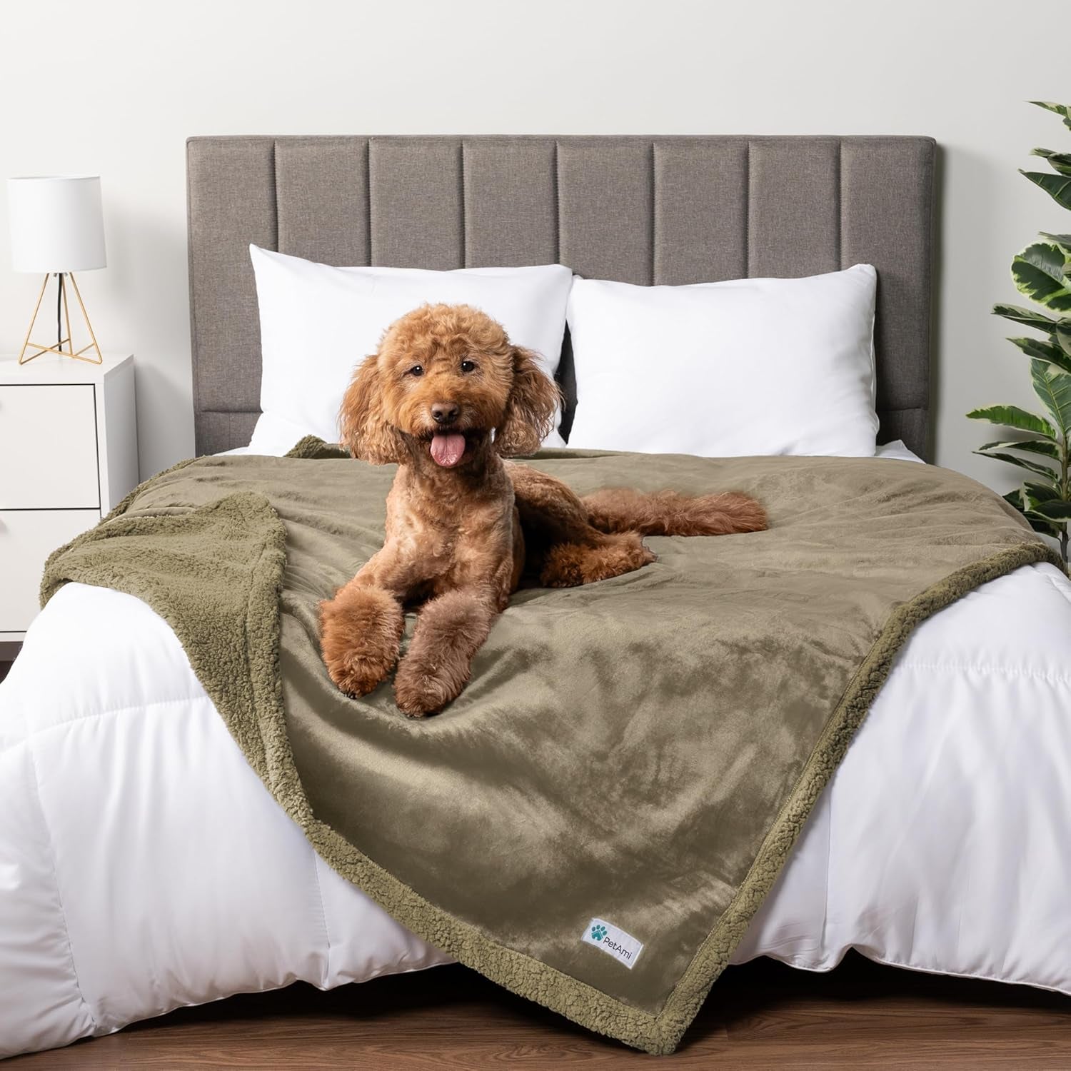 Petami Waterproof Dog Blanket for Queen Bed Large XL Dog Throw for Couch Cover Leakproof Furniture Protection, Sherpa Fleece, Reversible Soft Washable 90X90 Light Gray