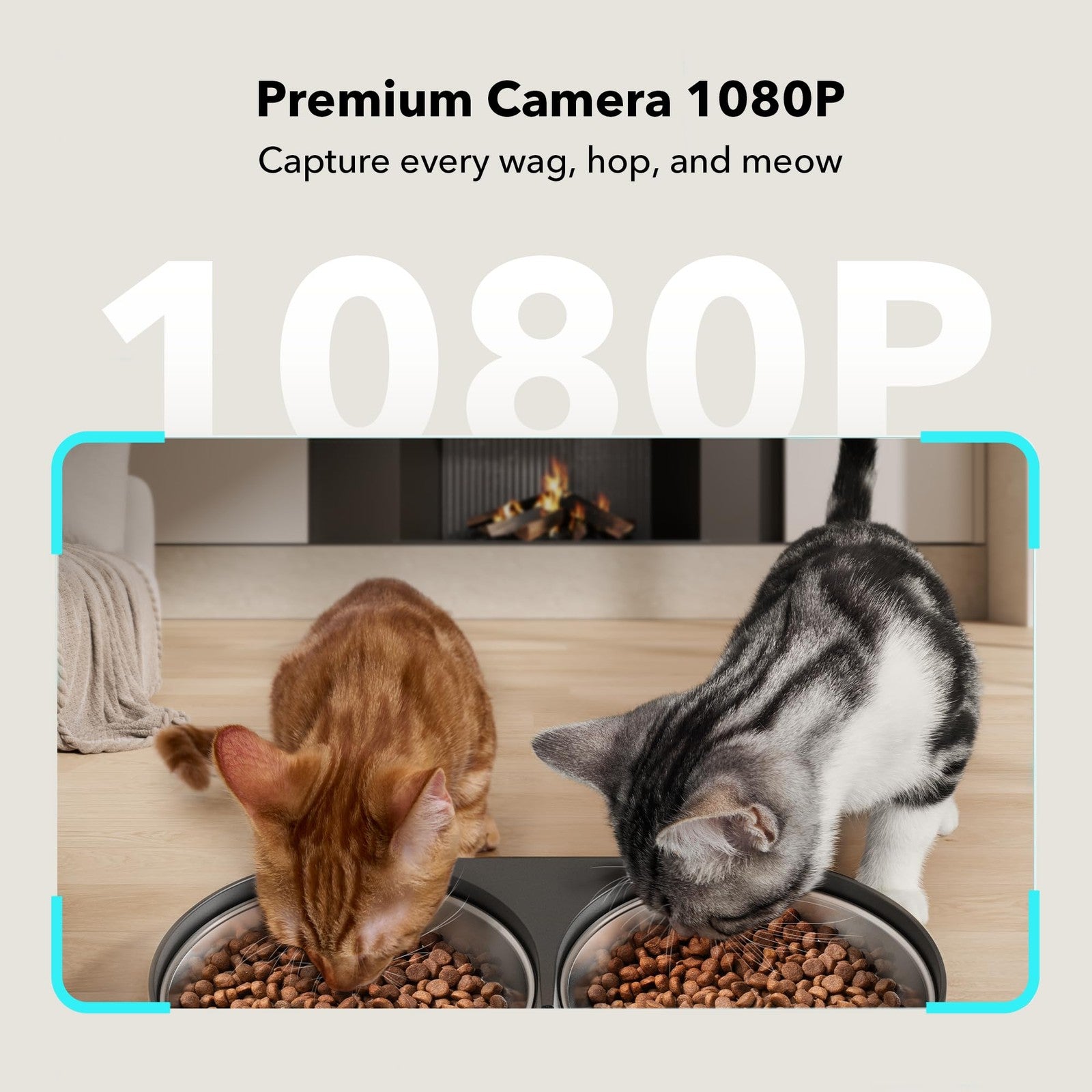 PETLIBRO Smart Automatic pet Feeder with Camera APP Control.