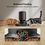 PETLIBRO Smart Automatic pet Feeder with Camera APP Control.
