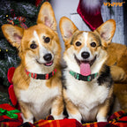 WHIPPY - Christmas Dog Collar