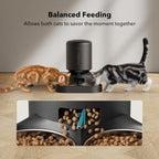 Petlibro Granary Automatic Two Cat with Camera Cat & Dog Feeder, 5-L, Black