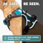 Embark -  Dog Harness, Reflective Trim