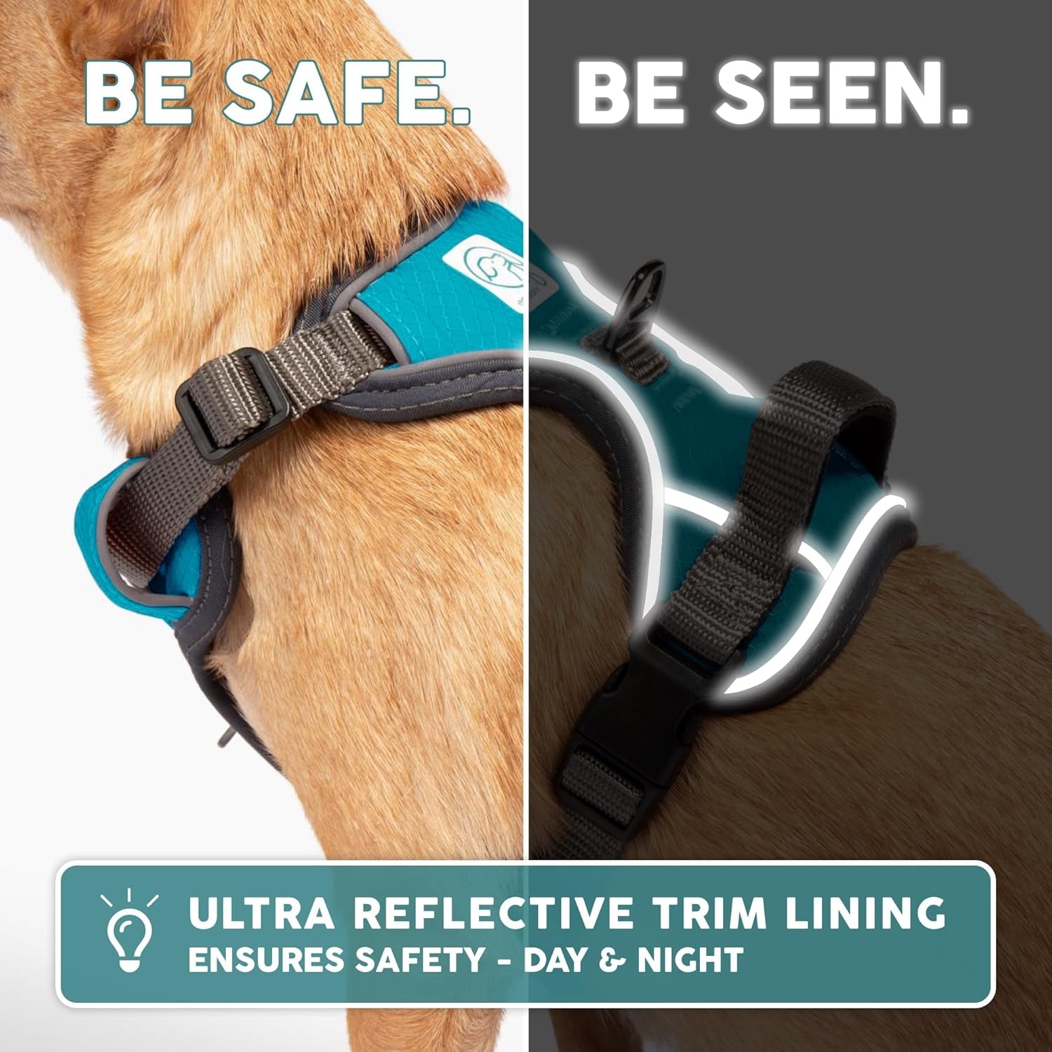 Embark -  Dog Harness, Reflective Trim