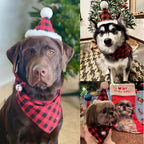 ADOGGYGO Christmas Dog Bandana Hat Bow Tie Set - Classic Red Plaid Pet Xmas Scarf Hat Christmas Costume Outfit for Medium Large Dogs Pets (Large)