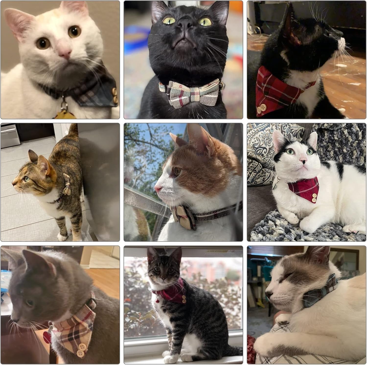 KOOLTAIL Breakaway Cat Collars – 2-Pack Plaid Bandana Set