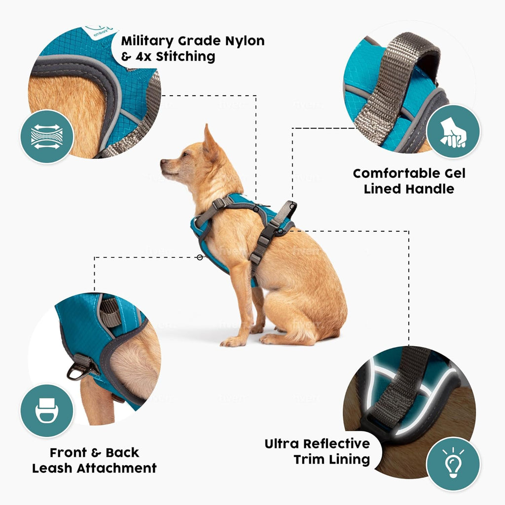 Embark -  Dog Harness, Reflective Trim