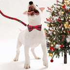 Azuza Christmas Buffalo Dog Collar and Leash Set