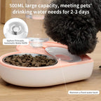 Automatic Pet Feeder 2-In-1 Pet  Feeding Dispenser Detachable Dog Water Bottle and Food Bowl Heart Shaped (Blue)