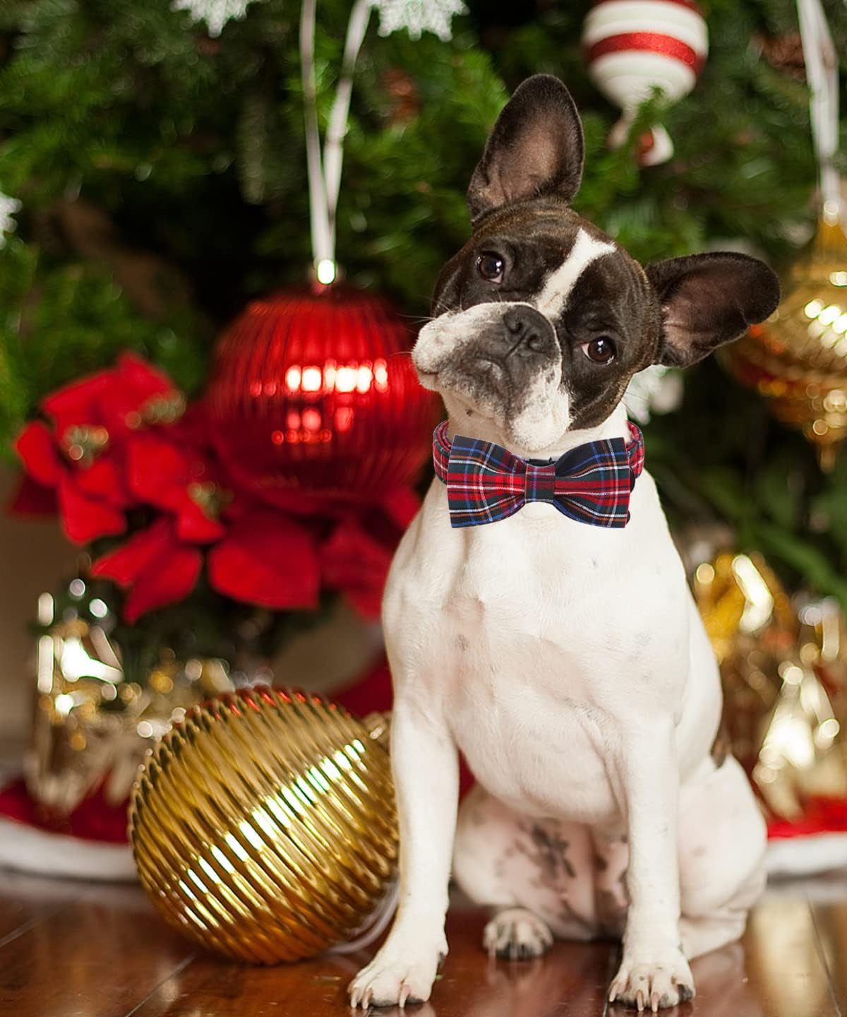 DOGWONG Premium Summer Dog Collars, Lemon Bowtie Dog Collar, Adjustable Heavy Duty Girl Dog Collar with Bow for Medium Dogs