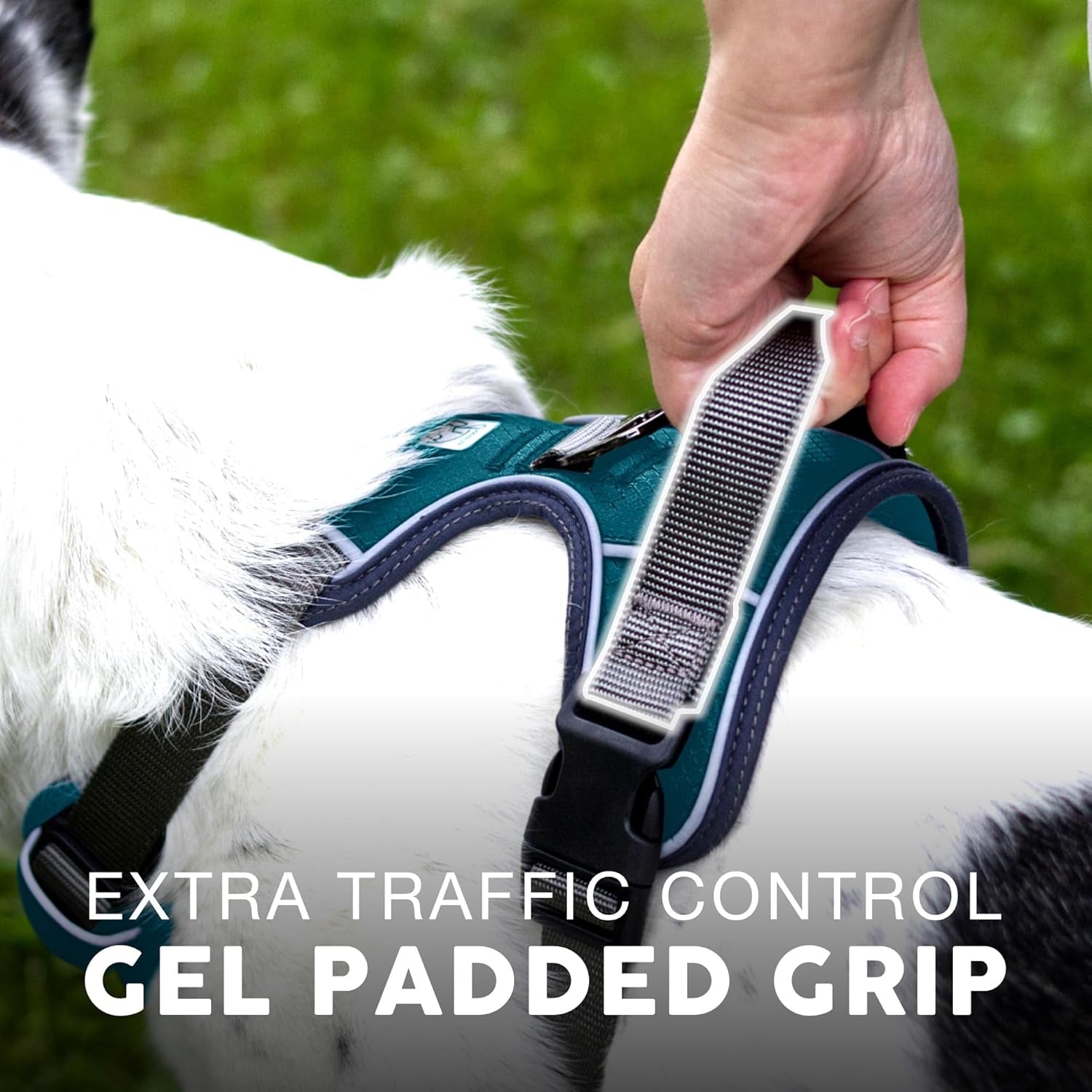 Embark -  Dog Harness, Reflective Trim