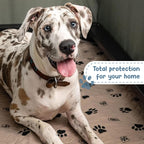 Ezwhelp Reusable Dog Pee Pads, Washable Waterproof Mats for Potty Training or Whelping Pads, Puppy Pad with Rounded Corners, 24X36 Inch, 2 Pack