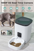 6L Automatic Pet Feeder with Camera & App Control for Cats and Dogs