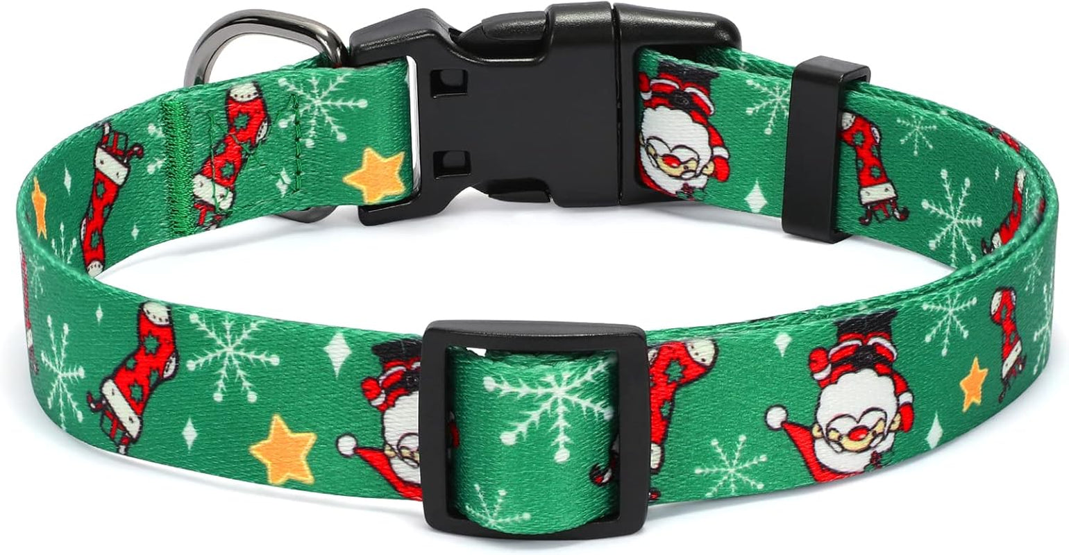 WHIPPY - Christmas Dog Collar