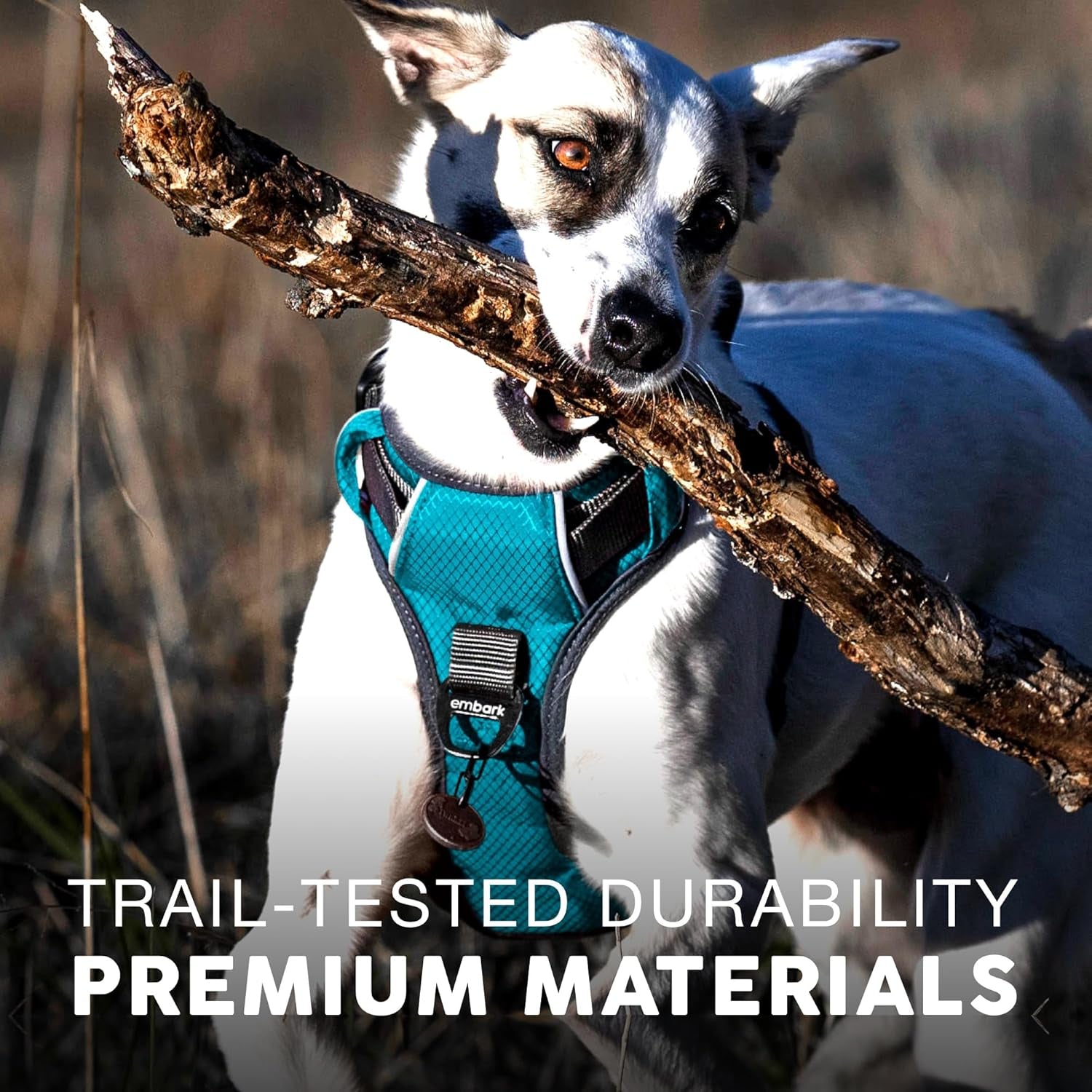 Embark -  Dog Harness, Reflective Trim